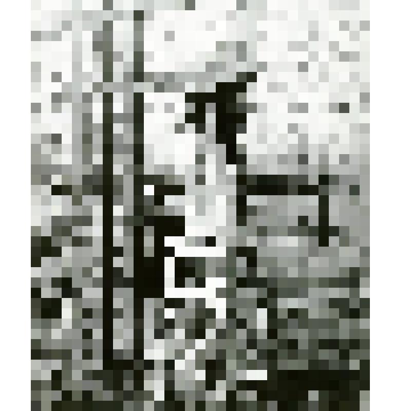 Фотография ч/б. Ленинский субботник на объекте 45 СХК