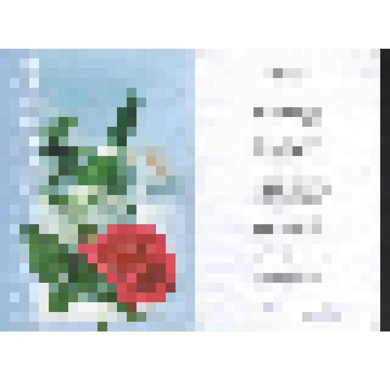 Поздравление Гребёнкина А., поэта, Богомоловой З.А. с юбилеем