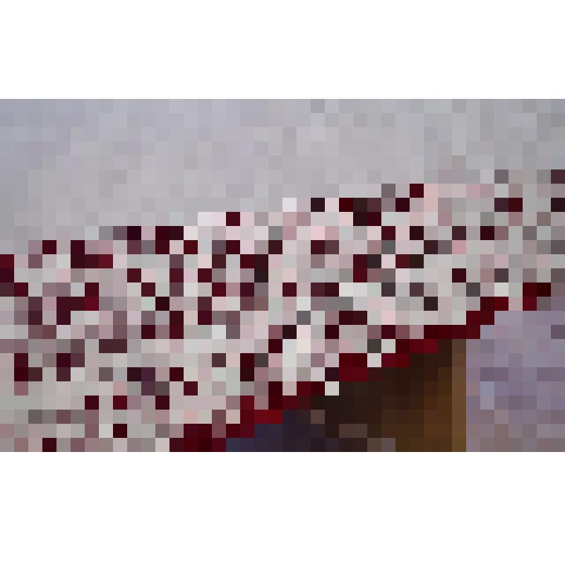 Подзор для парадной кровати с кружевной отделкой. Миньяр. 30-е годы ХХ века