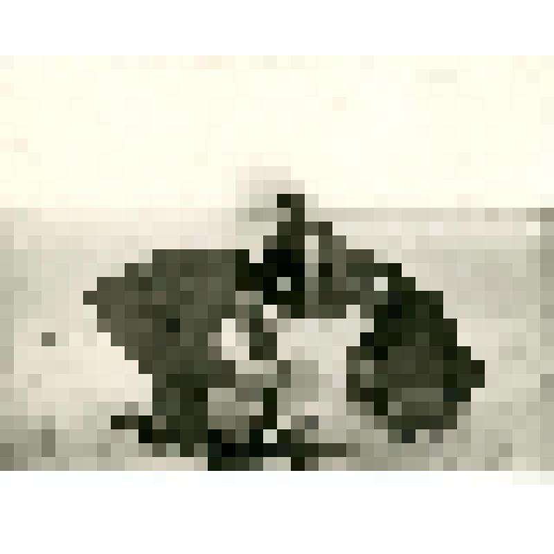 Фотография. Осмотр сетей весенней подледной установки на р. Алдане