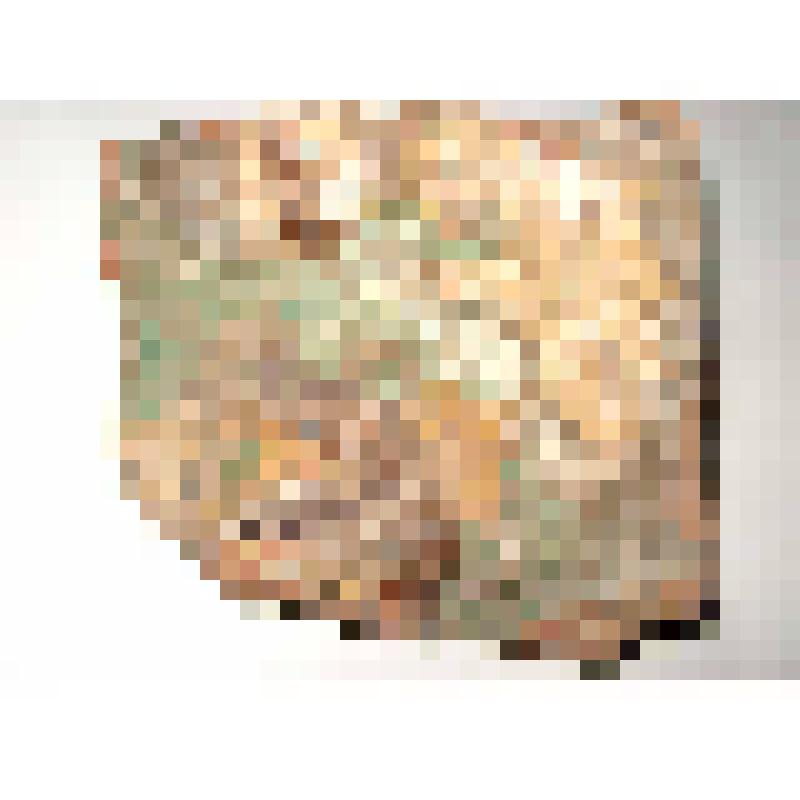 Изразец печной рельефный полихромный. Фрагмент