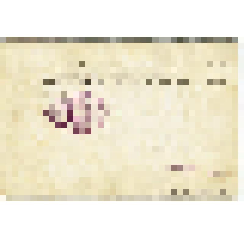 Письмо открытое: г. Минусинск. Енисейской губ. Троицкая церковь. Всемирный почтовый союз