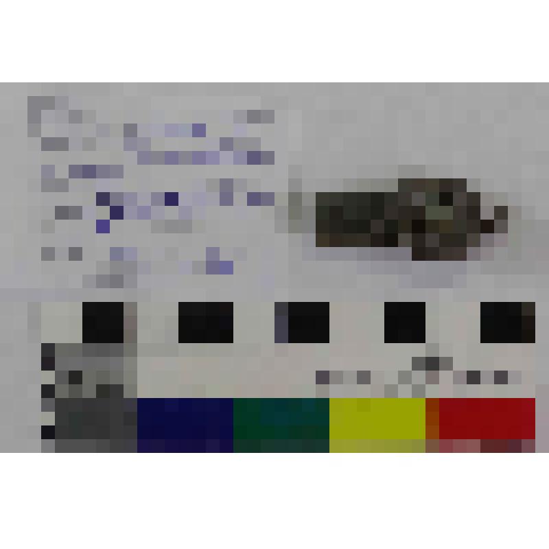 Пряжка поясная с прямоугольным щитком, овальной рамкой и подвижным язычком