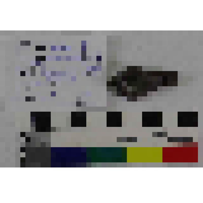 Пряжка поясная с прямоугольным щитком, овальной рамкой и подвижным язычком