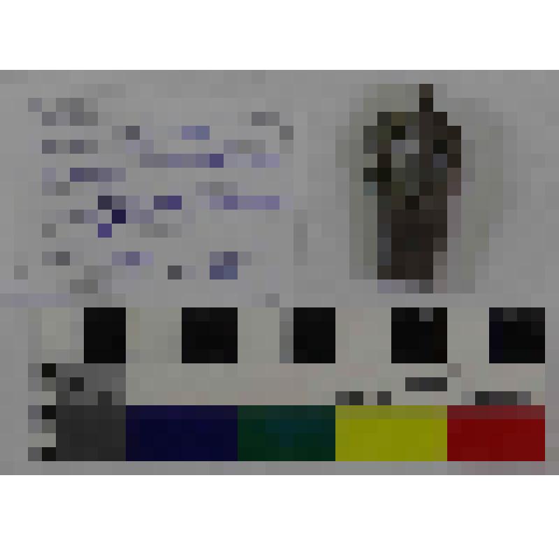 Пряжка поясная с прямоугольным щитком, овальной рамкой и подвижным язычком