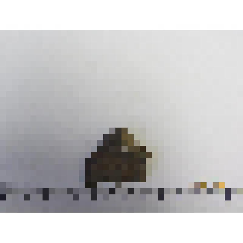 Отщеп с ретушью