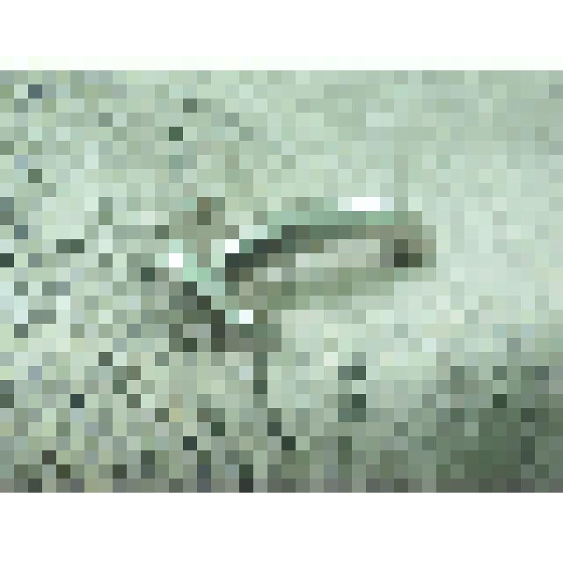 Трубка трахеотомическая из поликлинического набора Ў4 от Исполкома Красного Крест