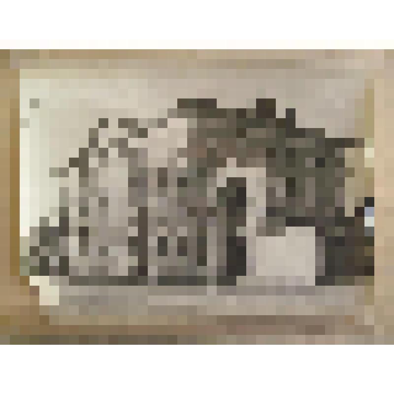 Дом Коловогривовых (ныне - краеведческий музей). ул. Пушкинская, 14. 1805-08 гг. Калужская  обл., г. Калуга. Дом Кологривовой (Золотаревых). Общий вид