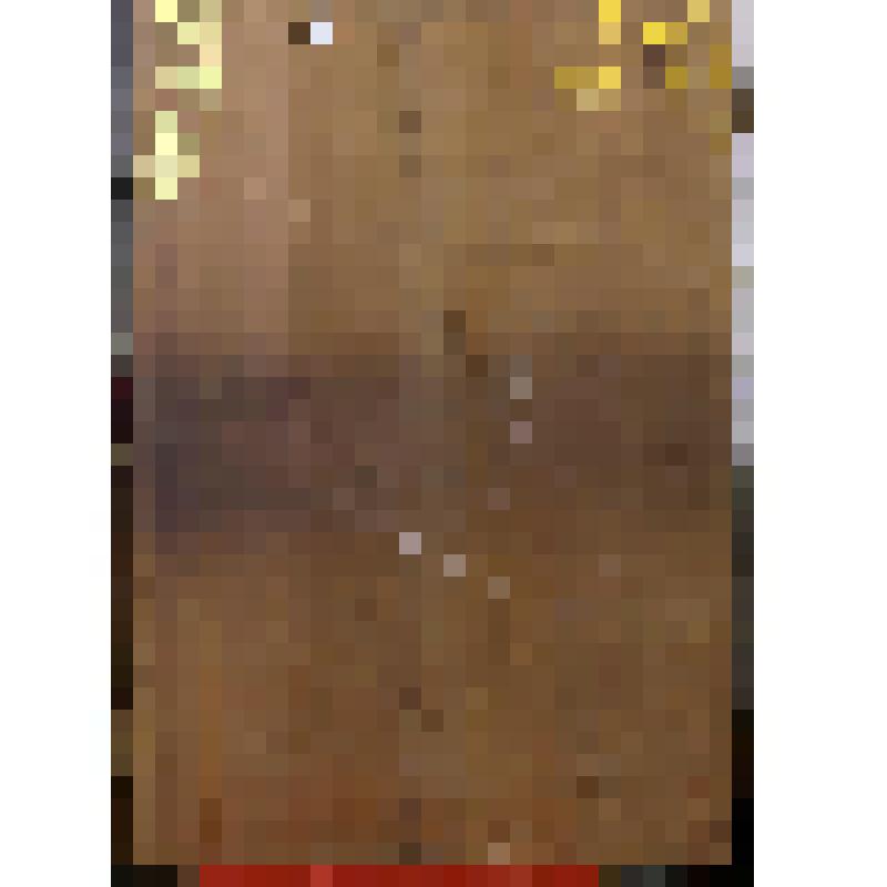 Дмитрий Ростовский. Икона