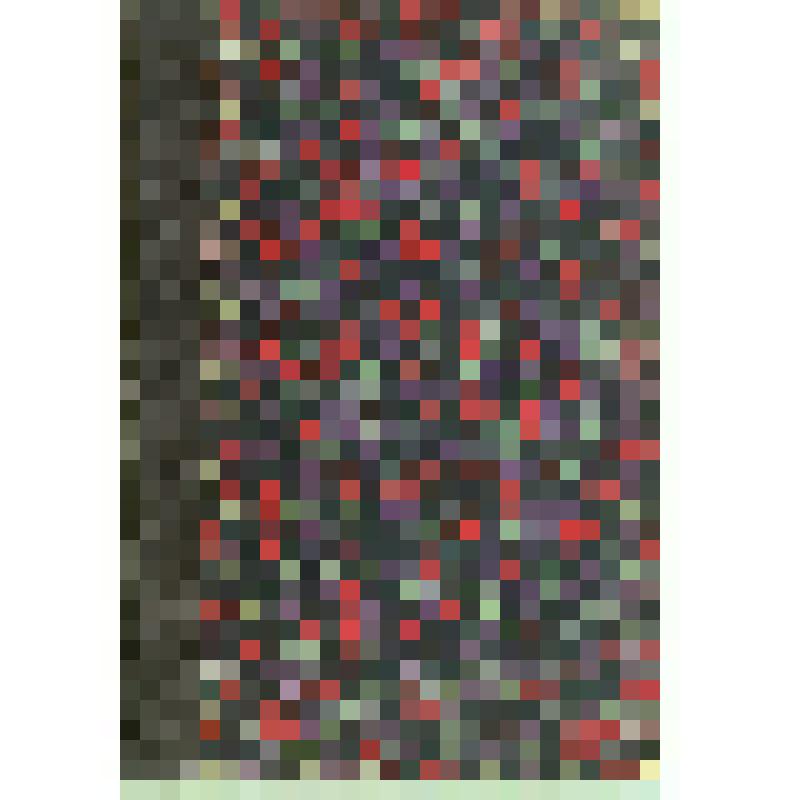 Книга. «История государства Российского»
 Сочинение Н.М. Карамзина. том V
Издание А.А. Петровича. Москва, 1903 г.
Москва. Типо-литография Товарищества И.Н. Кушнерев и К. 1903.   198 с