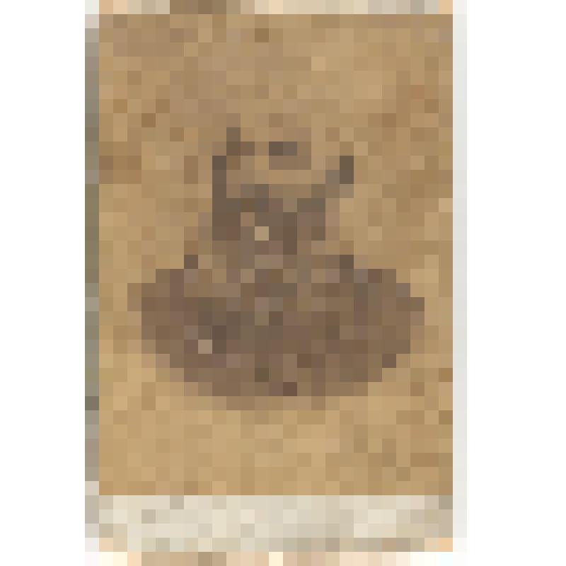 Фотография. Питерских Михаил Петрович (отец одного из первых фельдшеров)