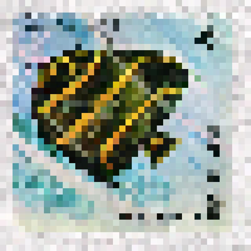 Марка. Рыба-ангел. 6 франков. Бурунди