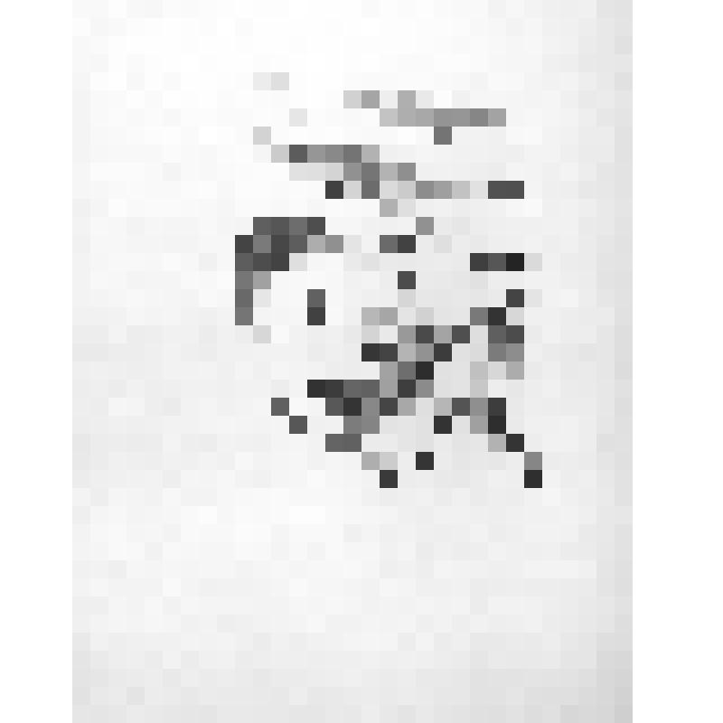 Австралия. Охота на кенгуру