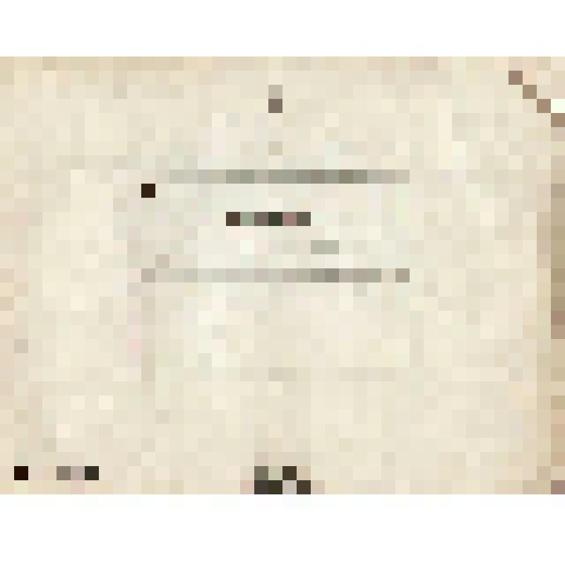 Телеграмма № 19842 в г. Чердынь В. Н.Алину от Загородских с Казанской биржи, 28.11.1890 г