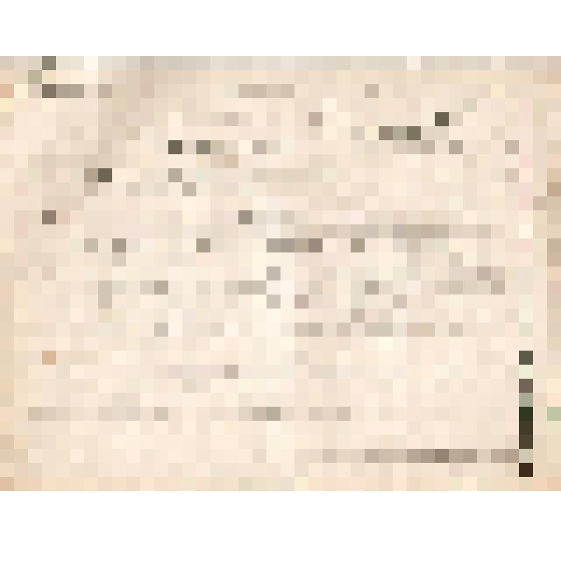 Телеграмма № 19842 в г. Чердынь В. Н.Алину от Загородских с Казанской биржи, 28.11.1890 г