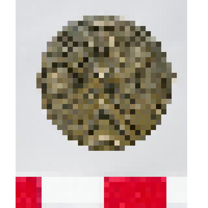 Бляшка орнаментированная. Случайная находка