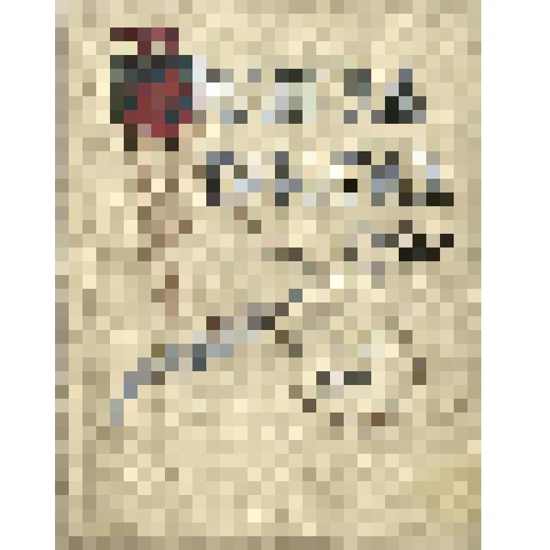 Книга. Т. 5. Великая реформа. Русское общество и крестьянский вопрос в прошлом и настоящем. Юбилейное издание : В 6 т. / Историч. комиссия учеб. отд. О. Р. Т. З. Ред. А. К. Дживелегов, С. П. Мельгенова, В. И. Пичета. Москва. И. Д. Сытин. 1911