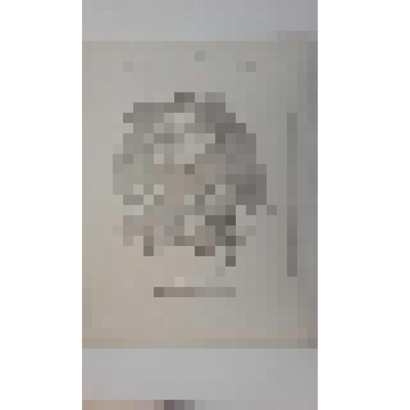 Храм Воскресения Христова ("Спас на Крови"), наб. канала Грибоедова.(Екатериниский), 26. 1883-1907 гг. г. Санкт-Петербург (Ленинград). Храм Воскресения Христова ("Спас на Крови"). Второй конкурс проекта храма. Анонимный проект без девиза. Генеральный план