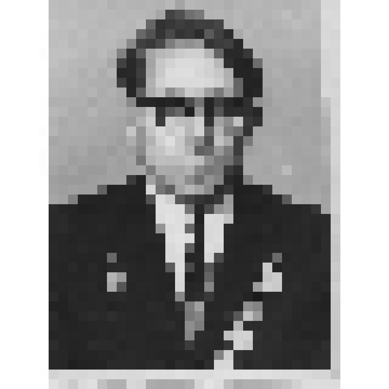 Фотография Портрет Михеева Александра Дмитриевича