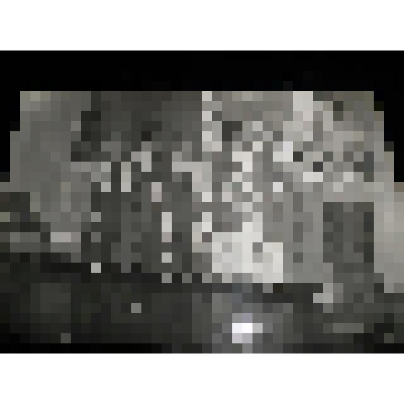 Фотография ч/б. Фотография