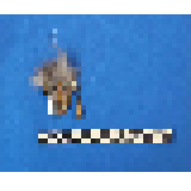 чеканка. Талисман на металлической пластине в виде продолговатого лица человека. волосы из меха.  В ушах кольца, на одном конусовидная подвеска полая внутри. На обратной стороне подложка из кожи. Вверху пластины закреплено металлическое кольцо