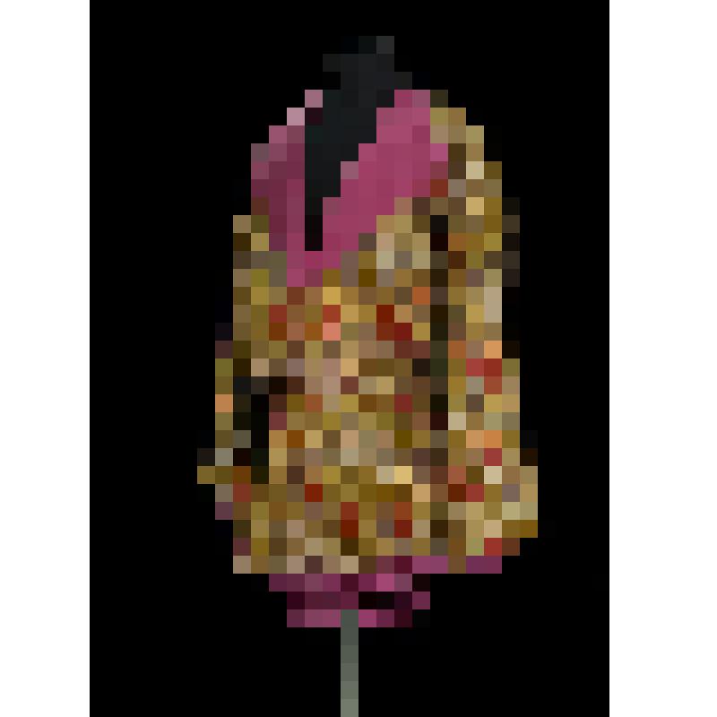 Деталь костюма Д.А. Смирнова к партии Ромео. Панталоны о’де-шосс. "Ромео и Джульетта". Гуно Ш.; 1896, реж. Барцал А.И., худ. Вальц К.Ф., Баранов В.В., Бредов А., Исаков П.А., Савицкий И.Ф