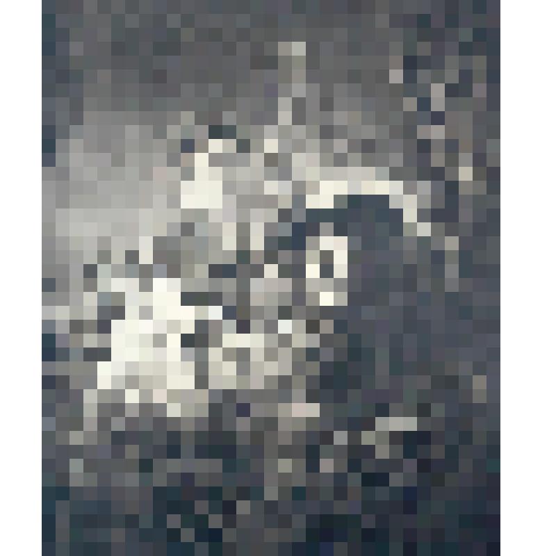 "Автопортрет с Саскией" (Весёлое общество). Репродукция