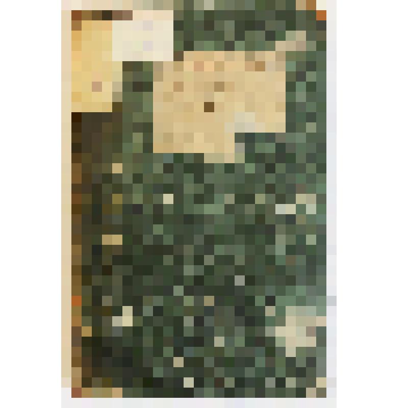 Книга. Арифметика на счетах или легчайший способ производить все арифметические действия над числами на счетах. - СПб.: Морская Типография, 1830. - 122 с