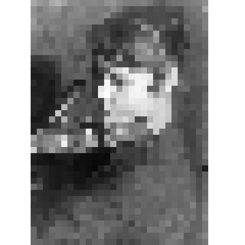 Негатив. Готковски Н. - французская скрипачка