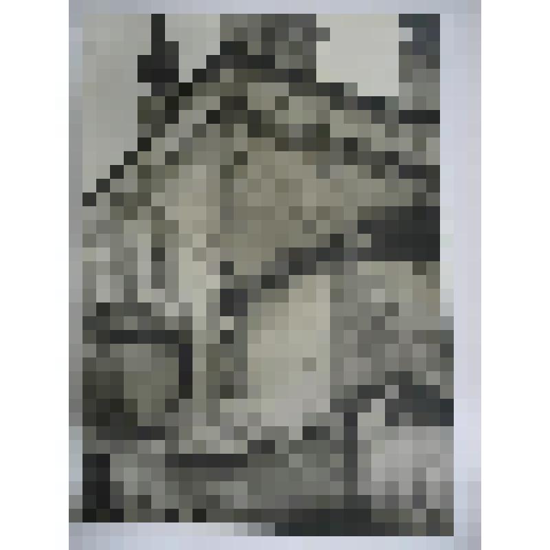 Троицкий собор. Белопесоцкий монастырь. ХV-ХIХ вв. посл. четв. XVII в., XIXвв. Московская  обл., г. Ступино, ул. Белопесоцкая, Белопесоцкий монастырь. ХV-ХIХ вв. Троицкий собор, посл. четв. XVII в., XIXвв. Юго-восточный угол