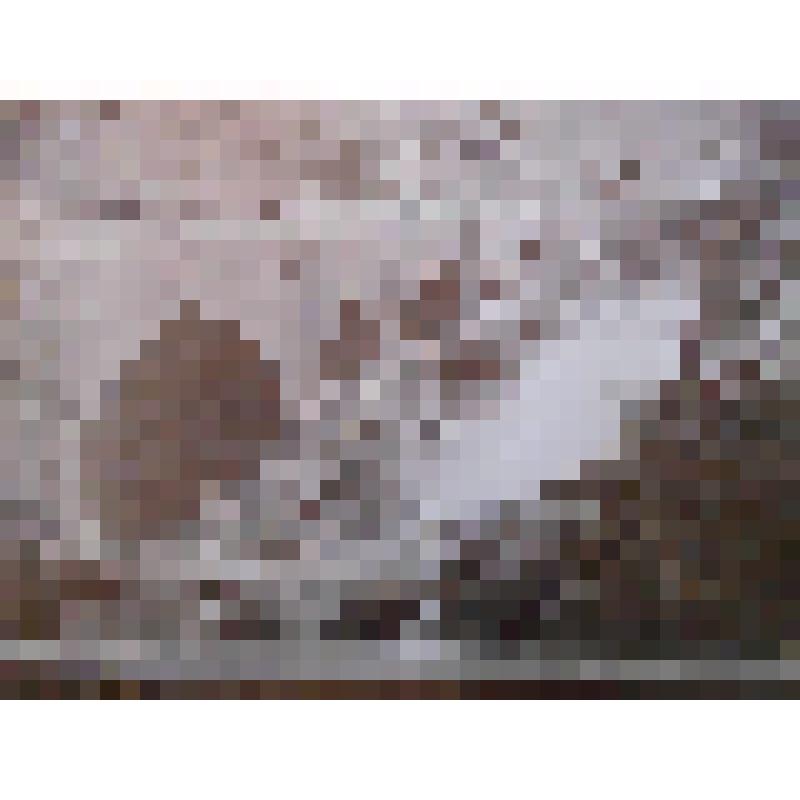 Менджильский мост. Иран, сел. Пули-Менджиль.  Дорога между г. Решт и г. Тегераном. Менджильский мост. Общ. вид. Д.И. Ермаков