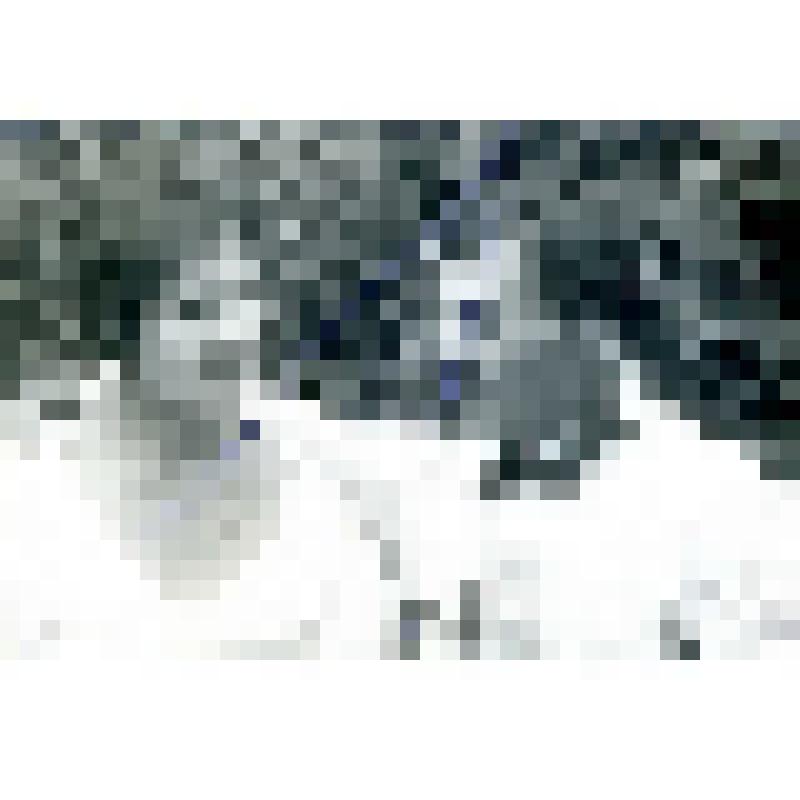 Фотография черно-белая. Фомин с женой. Из фотоальбома Л.И. Борисенко № 8 "Саперное дело. Стрелково-артиллерийское дело"