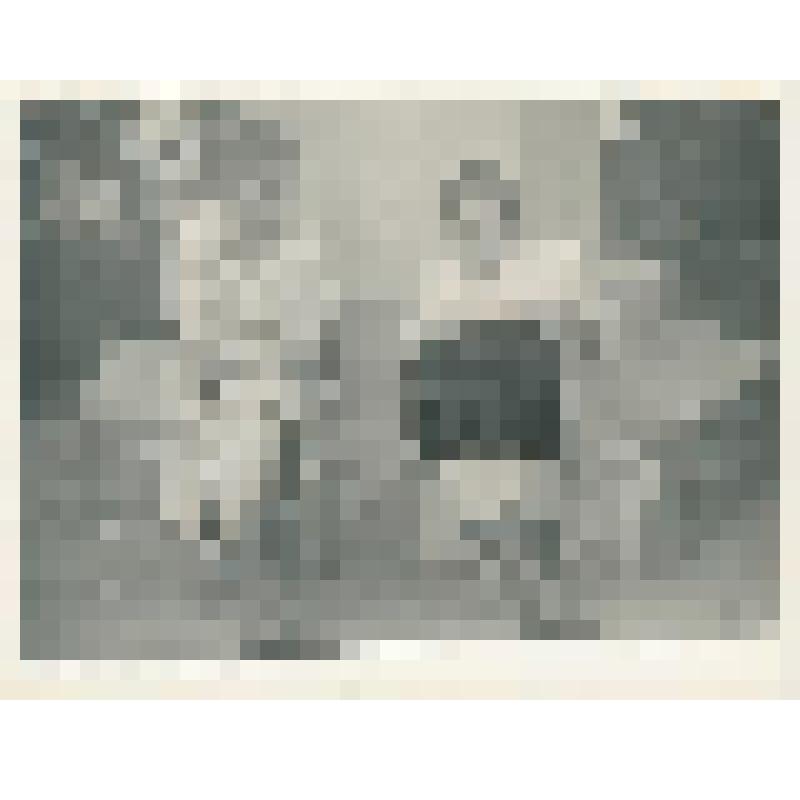 Фотография. В.Е.Хейн и М.Н.Пухта