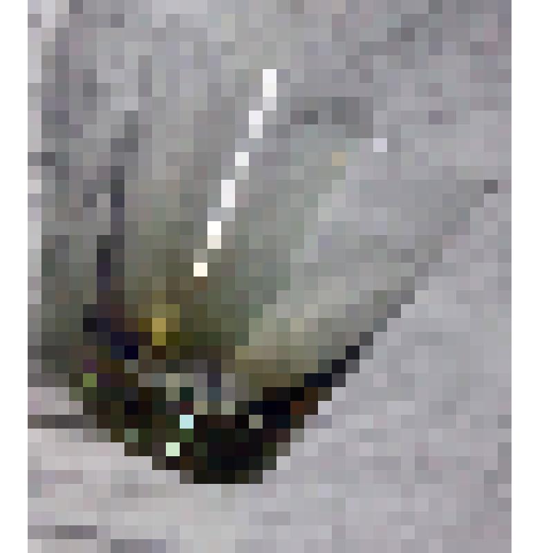 Стопка прозрачного дымчато-желтого стекла для крепких спиртных напитков. Из набора, из коллекции документальных, фотографических и вещевых материалов о Миловидовой Инне Борисовне (1929-2009), кандидате биологических наук, преподавателе биофака Саратовског