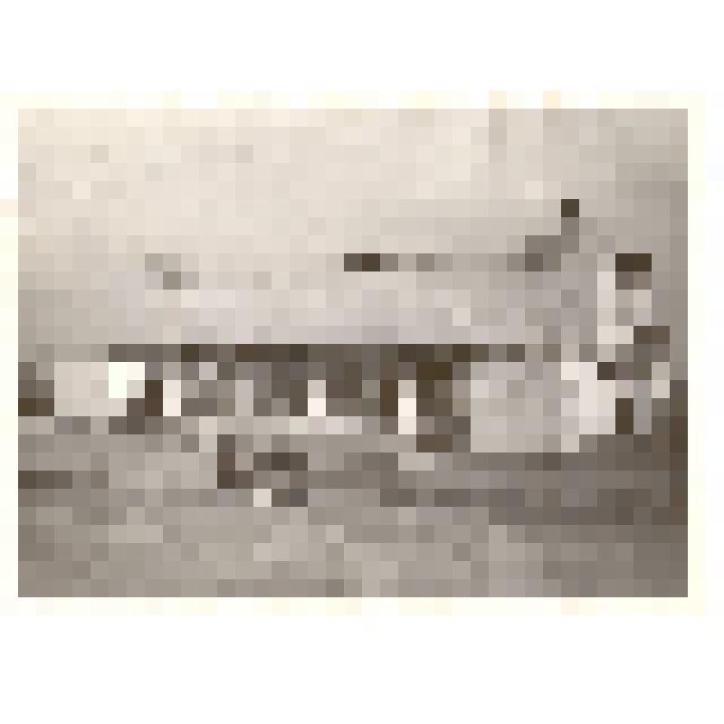 Фотография. Здание кинотеатра "Юность" по улице Карла-Маркса г.Камня-на-Оби