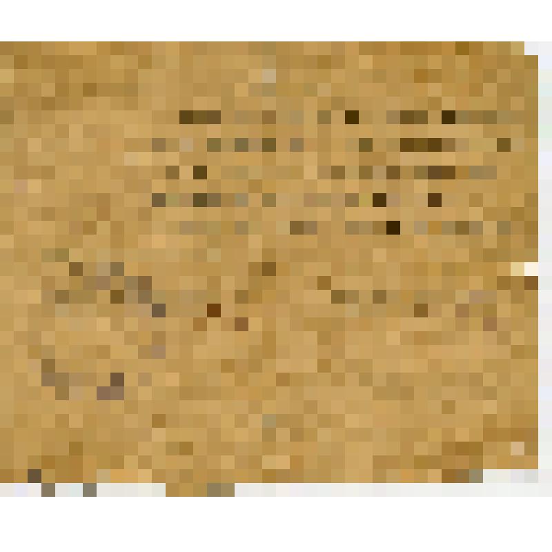 Справка № II-3 сержанту Королеву Петру Григорьевичу в том, что он находился на излечении в эвакогоспитале № 3052