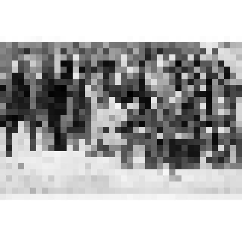 Тращенко Петр Федорович (верхний ряд, крайний справа) среди участников областного семинара работников уголовного розыска по делам несовершеннолетних и инспекторов детских комнат