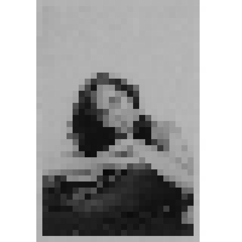 Фотография. ХII Международный конкурс им. П.И. Чайковского. 
Ливия Станез - участница конкурса виолончелистов (Франция)