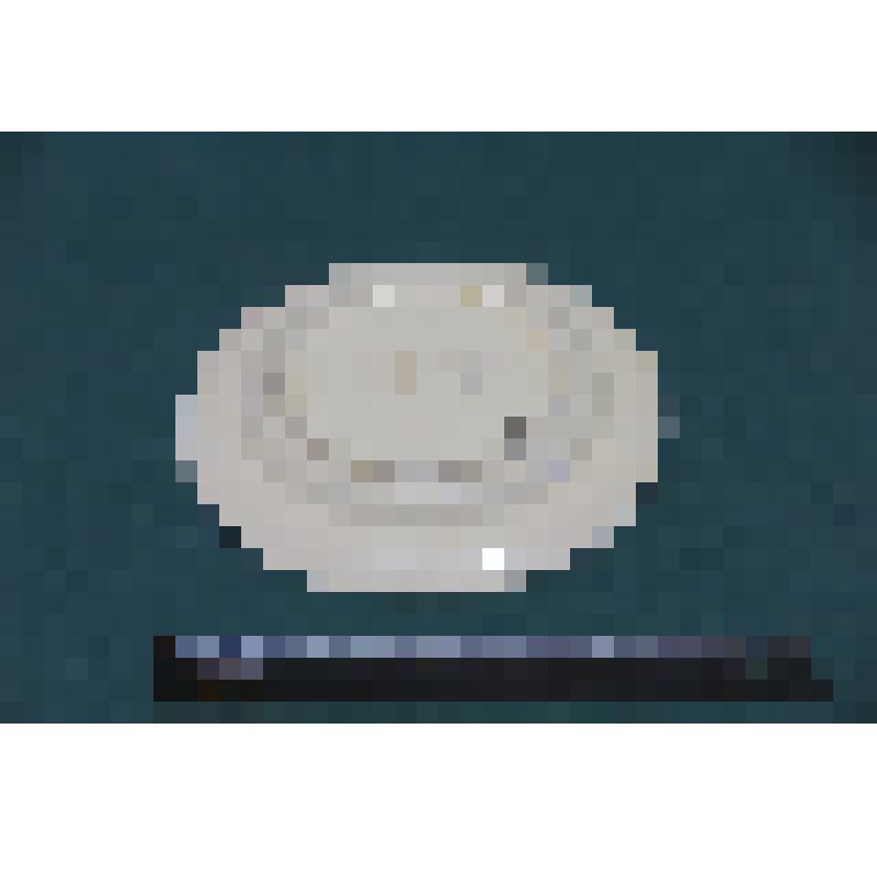 Предмет столовый. Тарелка "Jagdmotive / Ridinger" ("Охотничьи мотивы / Ридингер"). ГДР, Кольдиц, 1970-е гг