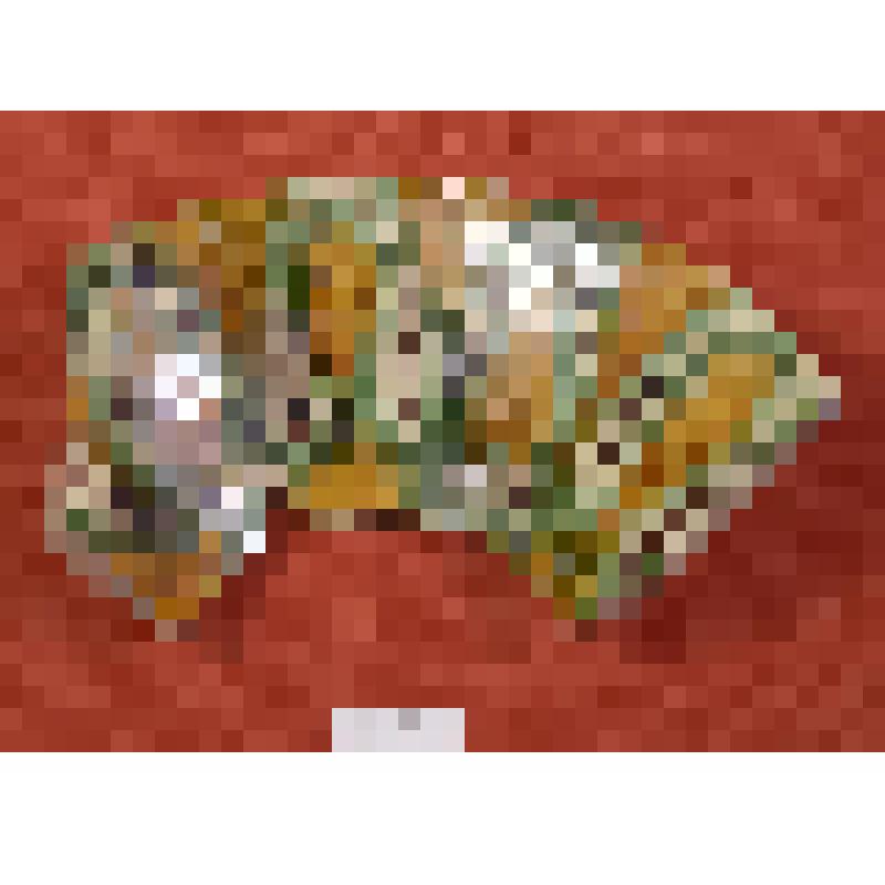 Фрагмент глиняной поливной чаши