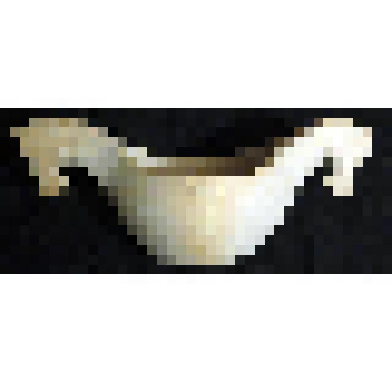 Чаша "Братина"