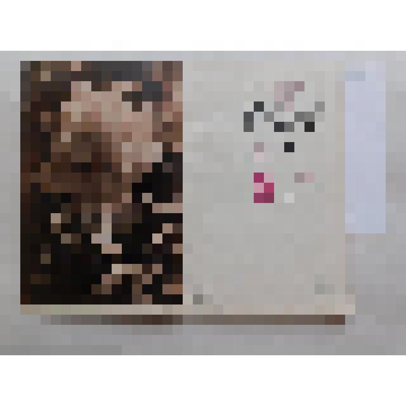 Журнал. Литературная Армения. №5 1967 г. май. - Ереван