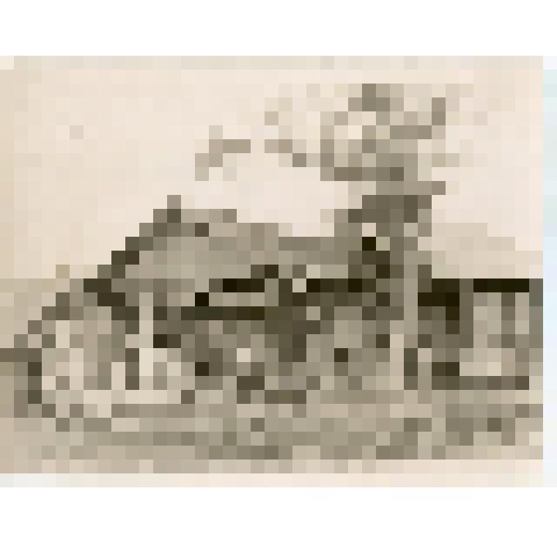 Фотография. Дом в дер. Митрофаново. (общий вид )