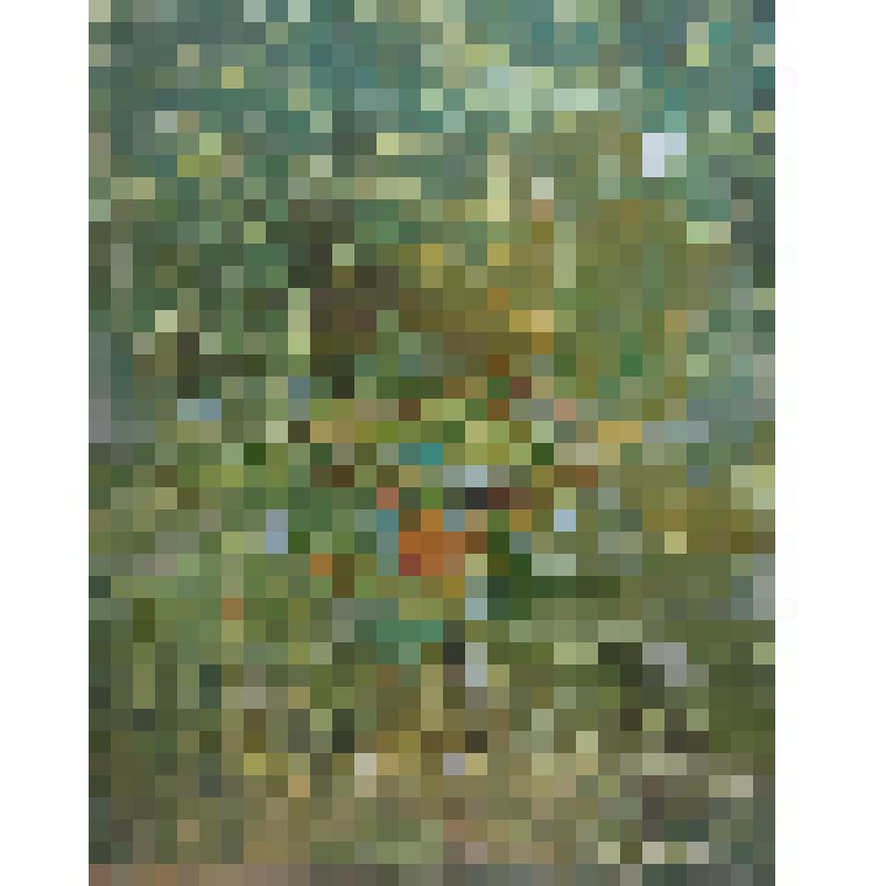 Коломенские луны