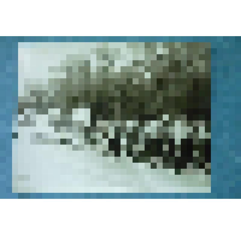 Фотография групповая