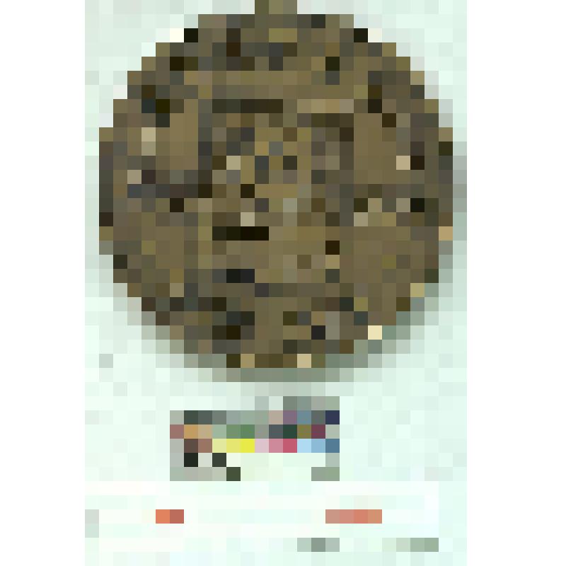 СССР. Медаль. 250 летие Павлодара. 1970 г