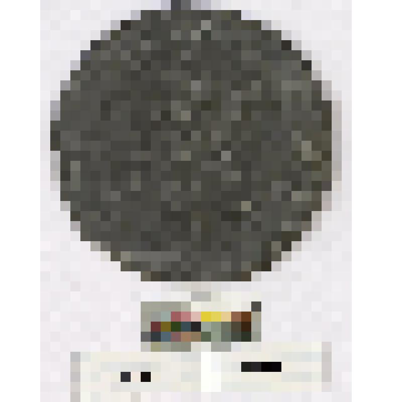 Оттиск. Об.ст. медали в честь Анны Иоанновны работы Hedlinger