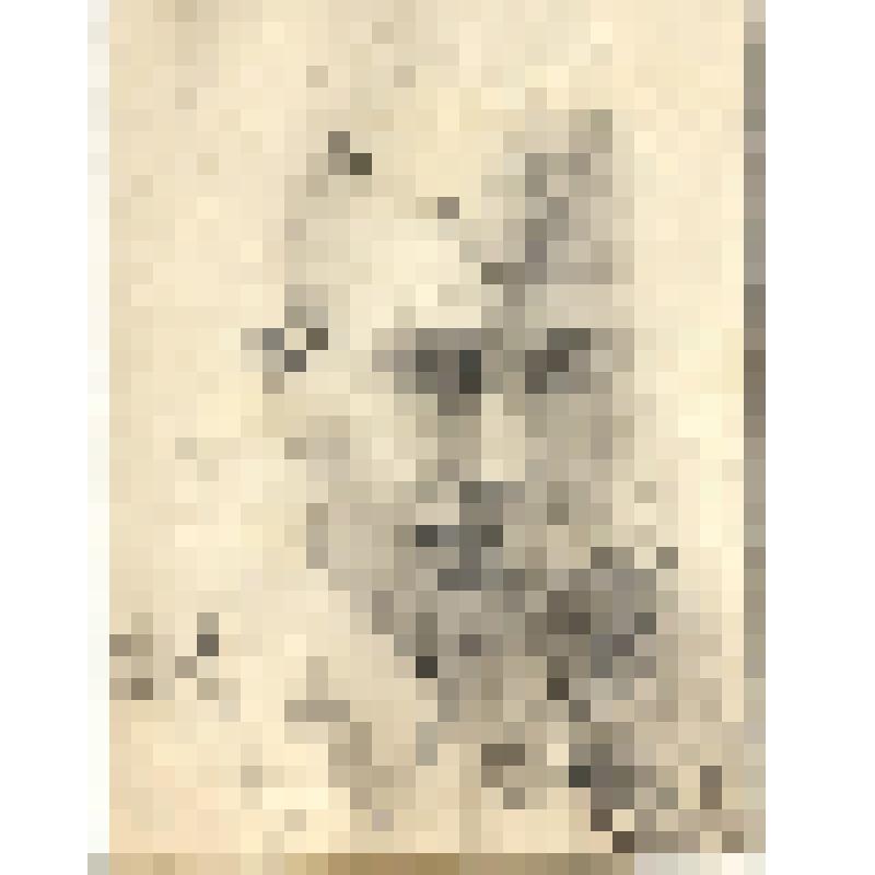 Солдат курящий