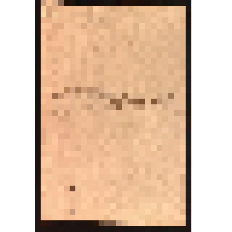 Расчет о пенсиях и других периодических пособиях за время по 1 января 1850 г. назначенных к платежу из кассы Нижнетагильского Заводского Управления наследников Тайного Советника Николая Никитича Демидова