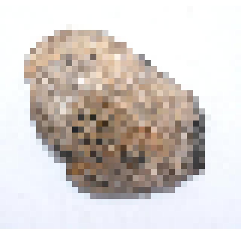 Сосуд (фрагмент)